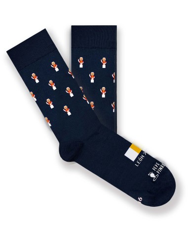 Calcetines Papa León XIV